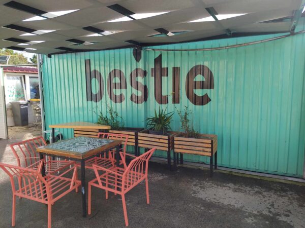 Intervju s direktorom skloništa za napuštene životinje