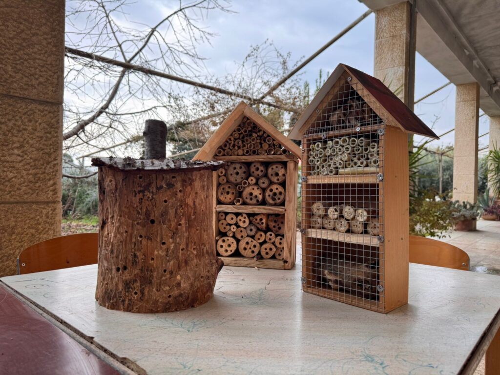 Hoteli za kukce u SŠ “Braća Radić”